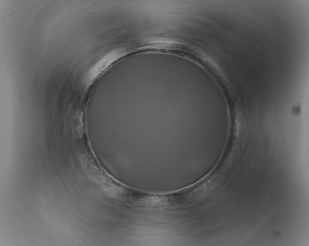 X0000111821362200907301247