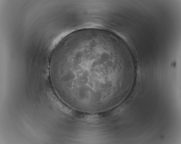 X0000111821363200907301247