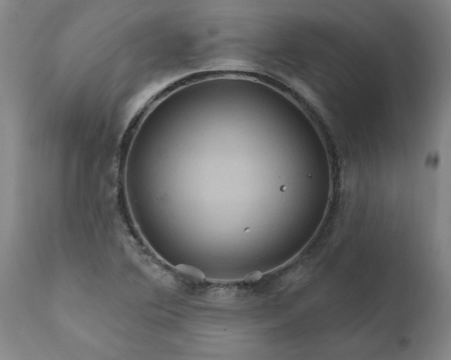 X0000111821364200907301246