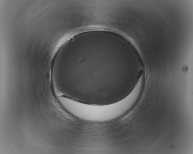X0000111821365200907301246