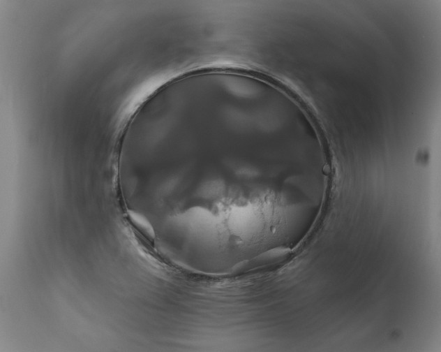 X0000111821367200907301246