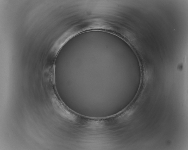 X0000111821369200907301246