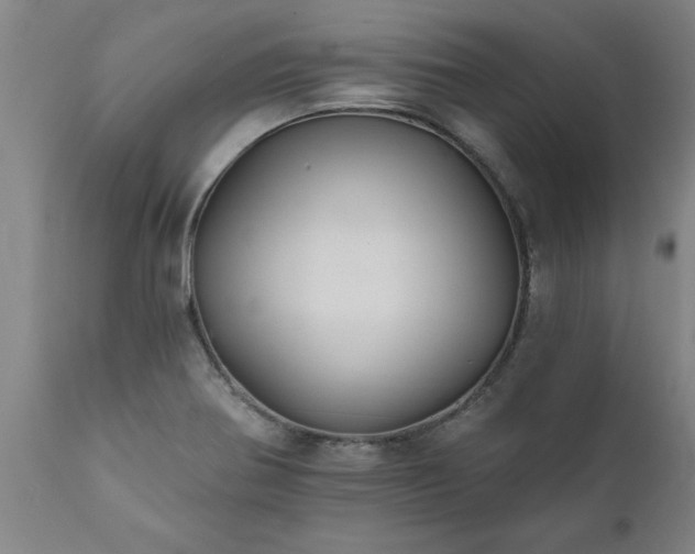 X0000111821370200907301246