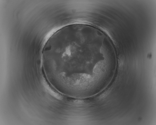 X0000111821371200907301246