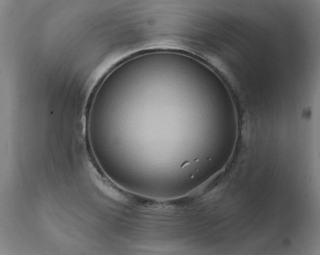 X0000111821372200907301246