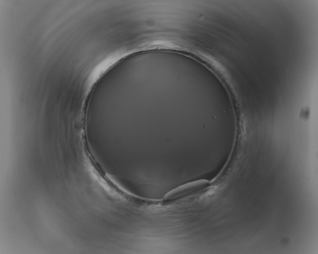 X0000111821373200907301246