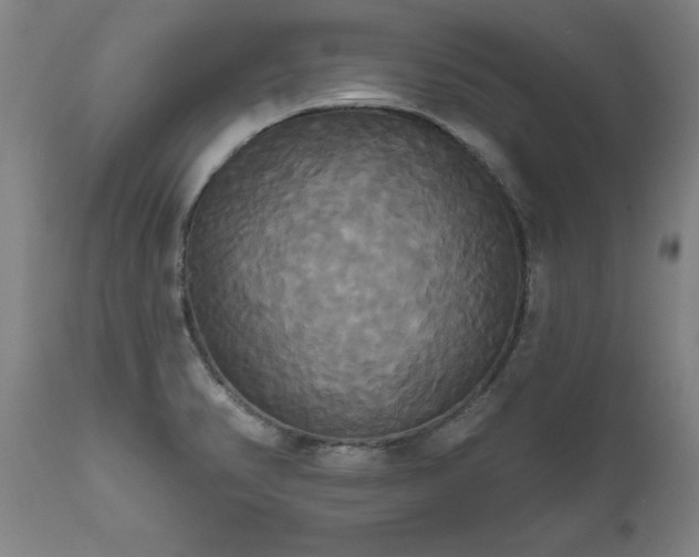 X0000111821374200907301246