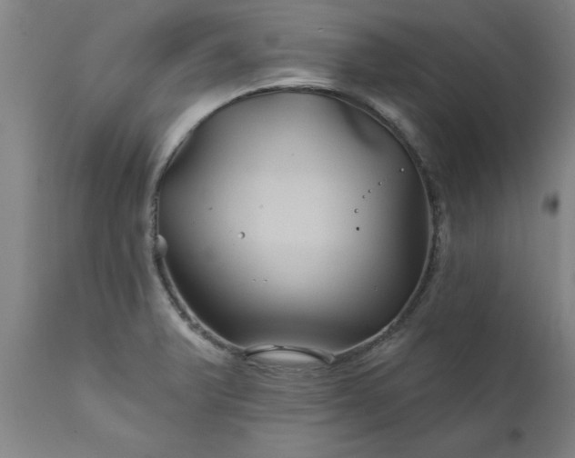 X0000111821375200907301246