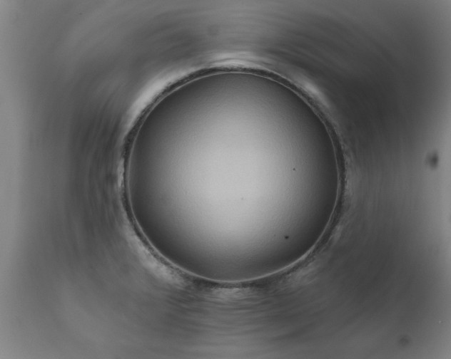 X0000111821376200907301246