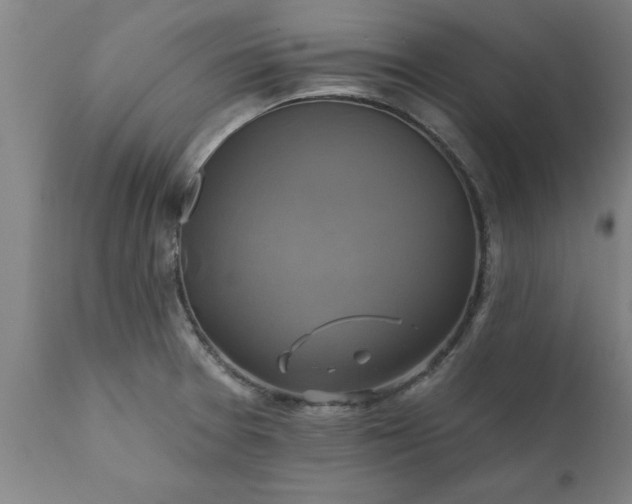 X0000111821377200907301246