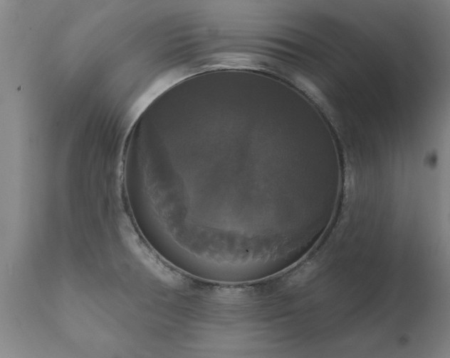 X0000111821378200907301246