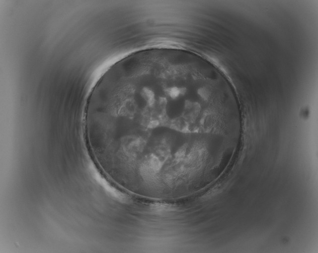 X0000111821379200907301246
