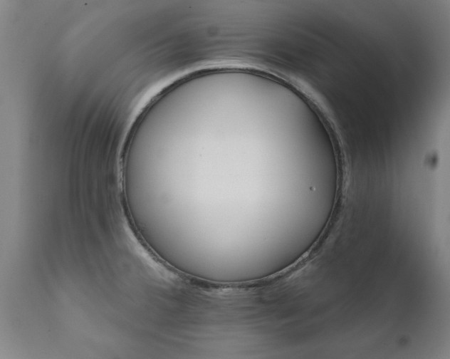 X0000111821380200907301246