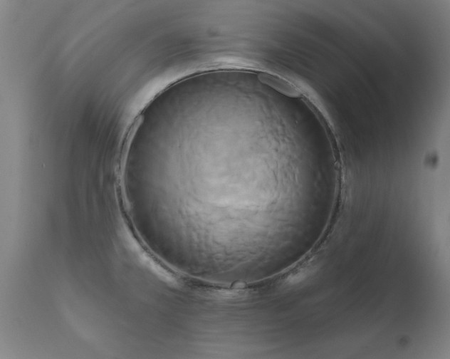 X0000111821381200907301246