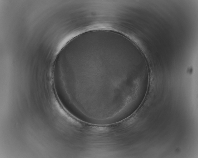 X0000111821382200907301246