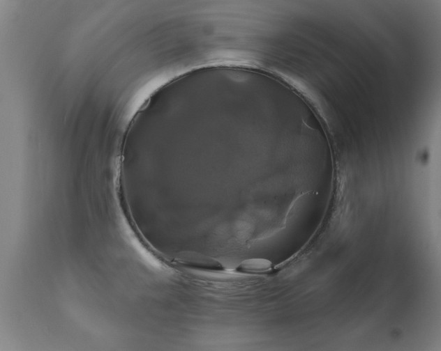 X0000111821383200907301246