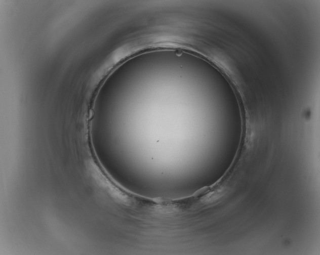 X0000111821384200907301246