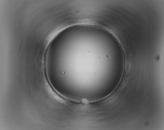 X0000111821387200907301246