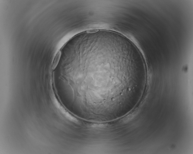 X0000111821389200907301246