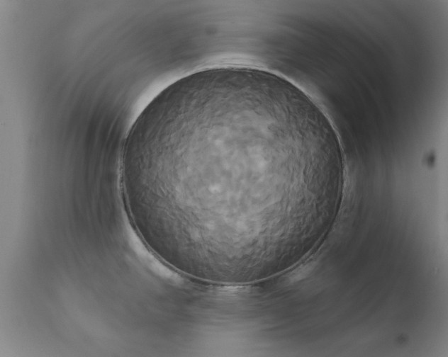 X0000111821390200907301246