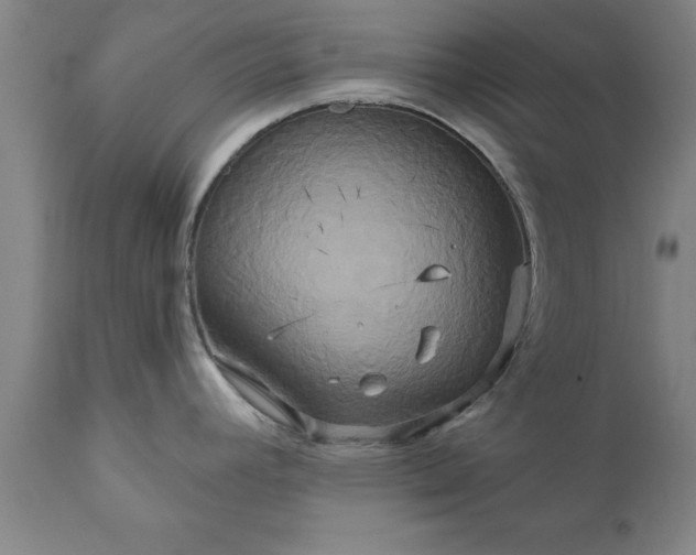 X0000111821392200907301246