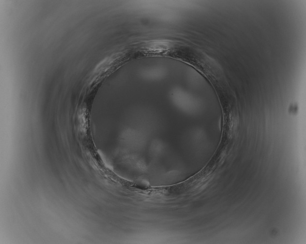 X0000111821394200907301245