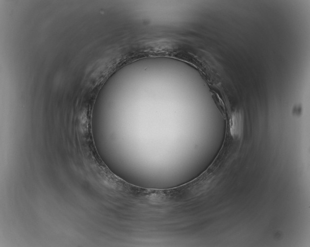X0000111821395200907301245