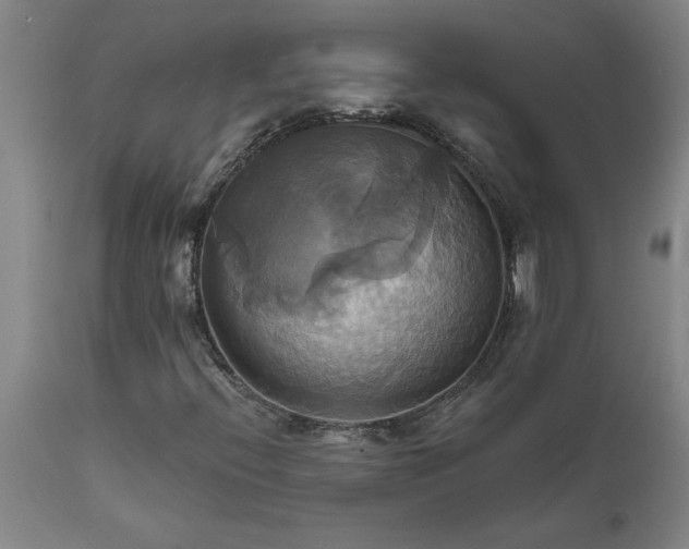 X0000111821396200907301245