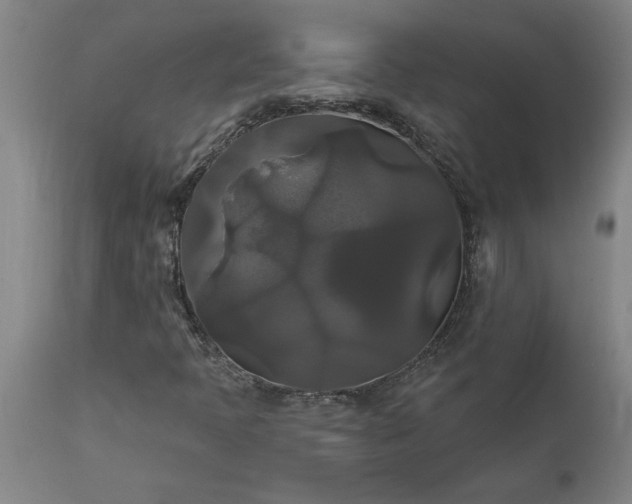 X0000111821397200907301245