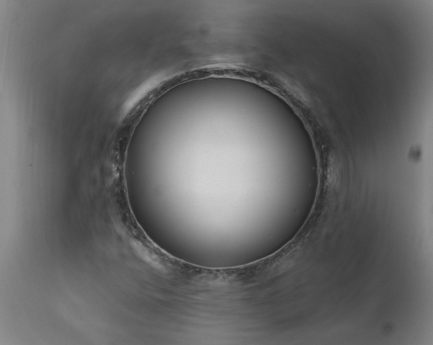 X0000111821400200907301245