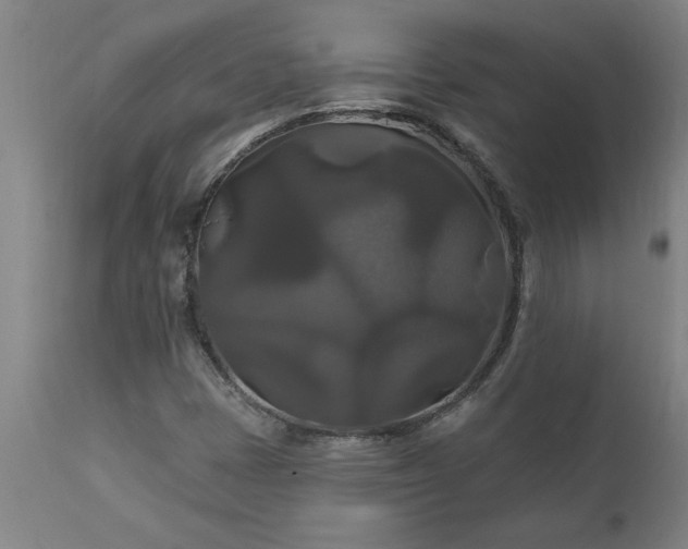 X0000111821401200907301245