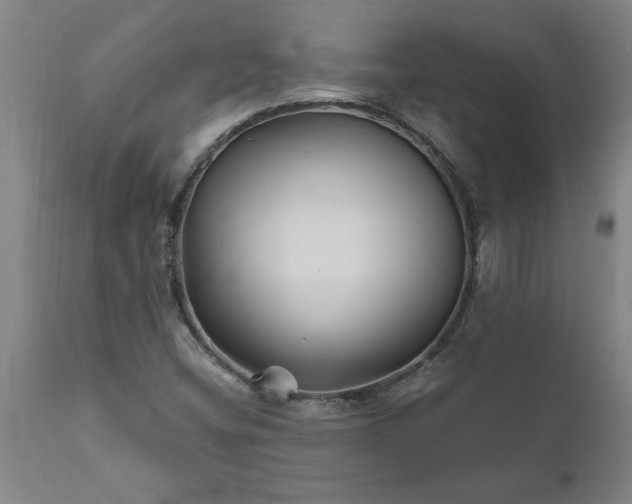 X0000111821404200907301245