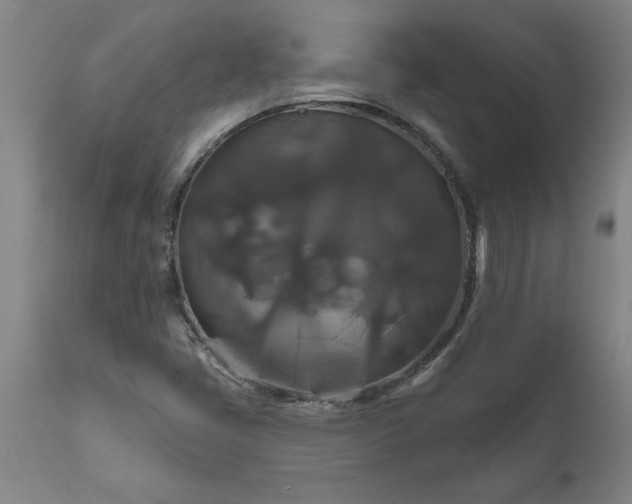 X0000111821405200907301245