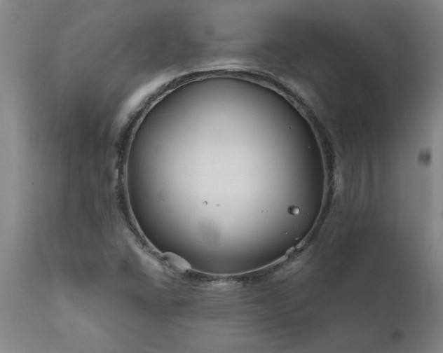 X0000111821406200907301245