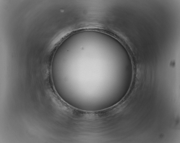 X0000111821407200907301245