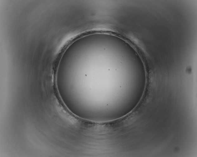 X0000111821408200907301245