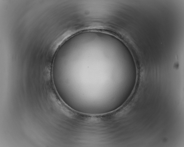 X0000111821409200907301246