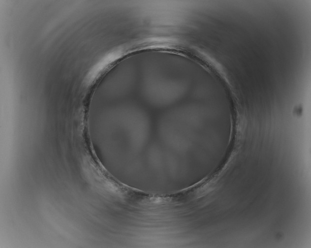 X0000111821411200907301246