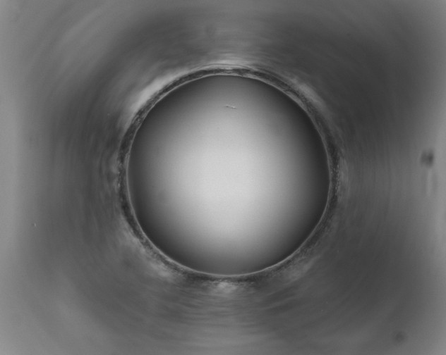 X0000111821412200907301246