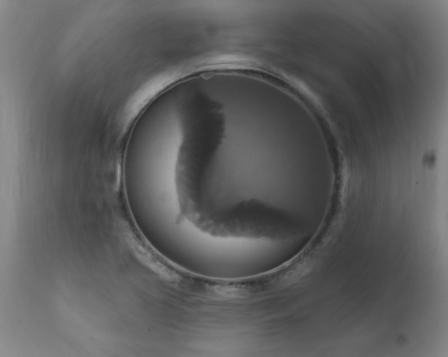 X0000111821413200907301246