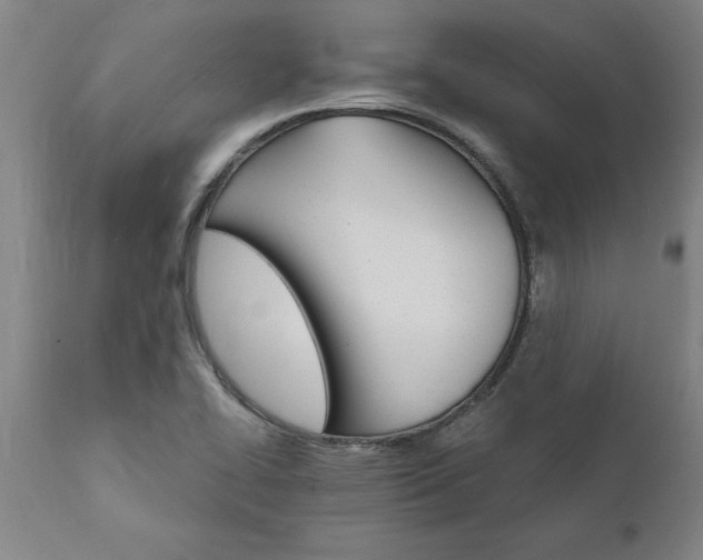 X0000111821414200907301246