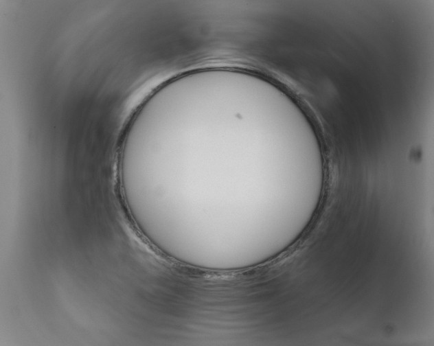 X0000111821415200907301246