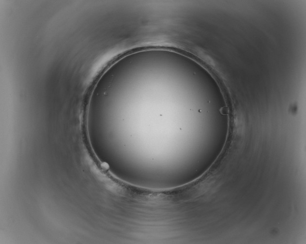 X0000111821416200907301246