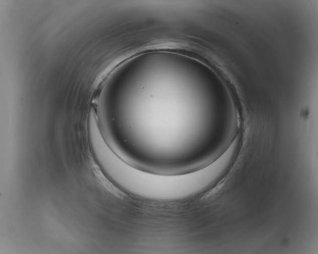 X0000111821417200907301246