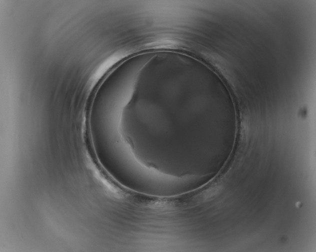 X0000111821418200907301246