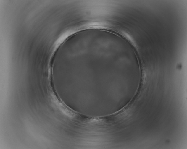X0000111821419200907301246