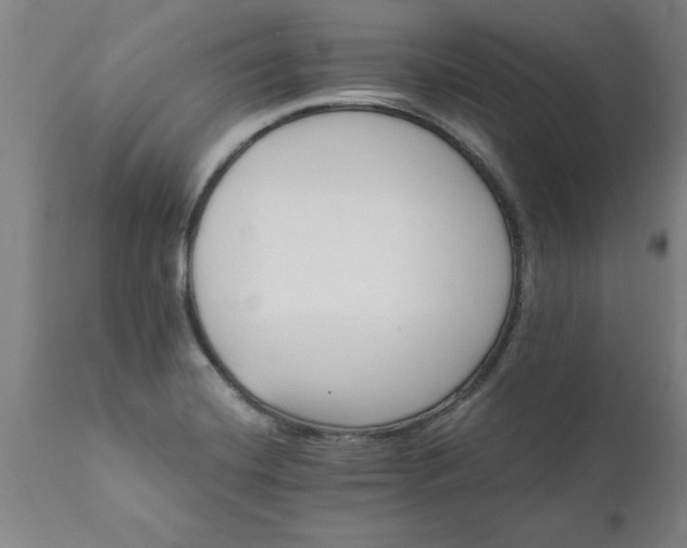 X0000111821420200907301246