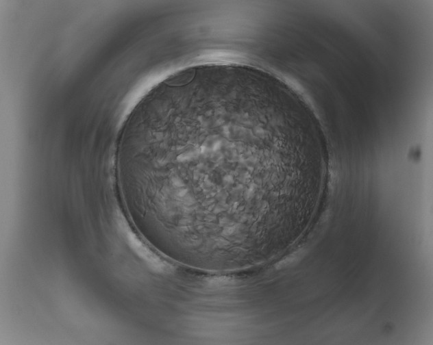 X0000111821421200907301246