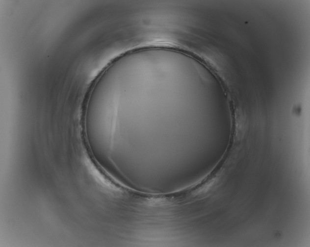 X0000111821422200907301246