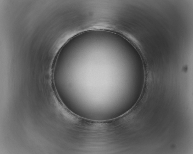 X0000111821423200907301246